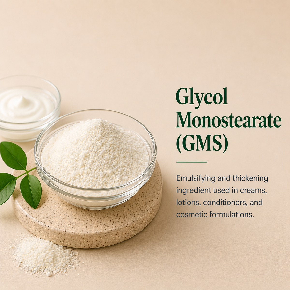 GMS (Glyceryl Monostearate) - Thickener, Conditioner & Emulsifier